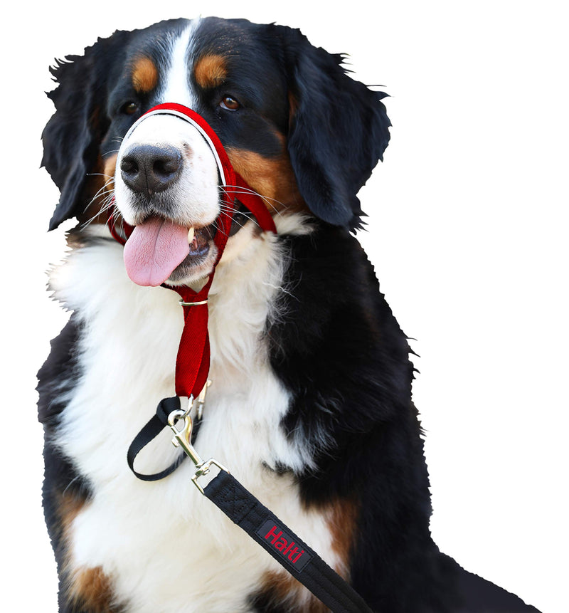 The Company of Animals Halti Head Colla Red 4 - BeesActive Australia