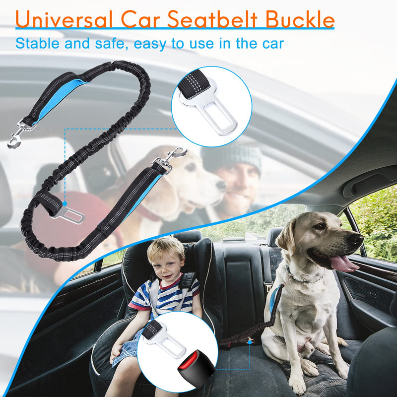 Hands Free Dog Leash with Waist Bag for Walking Small Medium Large Dogs, Reflective Bungee Leash with Car Seatbelt Buckle and Dual Padded Handles, Adjustable Waist Belt Black 2 dogs - BeesActive Australia