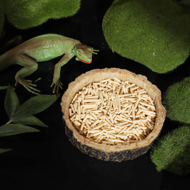 CalPalmy 2 Pack Reptile Food Bowls - Reptile Water and Food Bowls, Novelty Food Bowl for Lizards, Young Bearded Dragons, Small Snakes and More - Made from Non-Toxic, BPA-Free Plastic 4" x 4" x 0.9" - BeesActive Australia