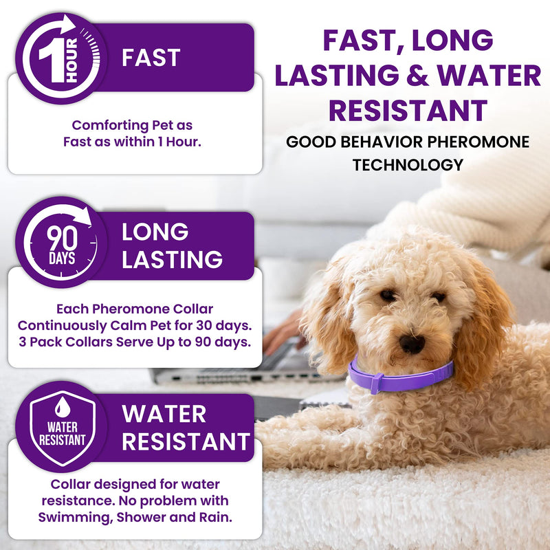3 Pack Calming Collar for Dogs, Dog Anxiety Relief, Pheromone Dog Calming Collars, Breakaway Dog Collar, Dog Calm Collar, Separation Anxiety Relief for Dogs, Reduce Dog's Anxiety and Stress - BeesActive Australia