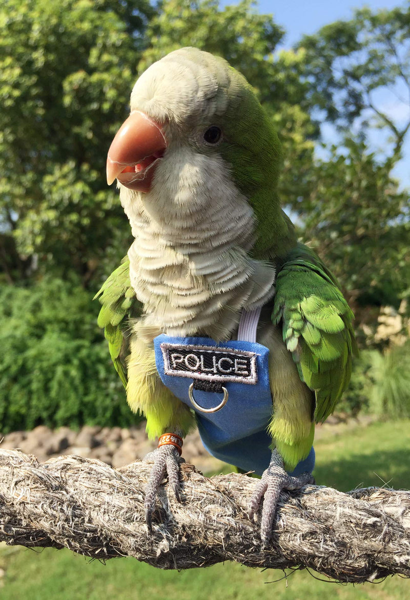 HEZHUO Bird Clothes Parrot Diapers Bird Flight Suits, Reusable Waterproof Diapers pet Bird Supplies L - BeesActive Australia