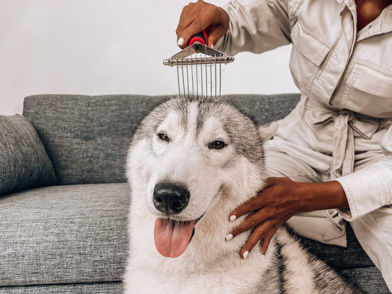 Tuff Pupper Dog Undercoat Rake Tool | Easily & Safely Remove Dead, Matted Or Knotted Hair | Ergonomic Dematting Comb For Thick Coats | Non-Slip Safety Handle Provides Precision Control Against Knots - BeesActive Australia