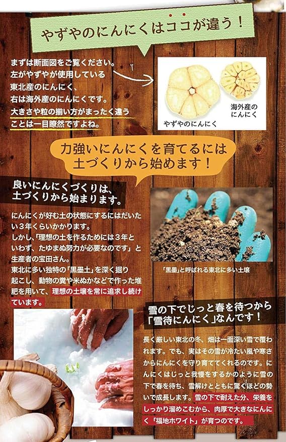 [Yazuya Official] Garlic Shijimi, 14.1 oz (410 g) Balls x 62 Balls - BeesActive Australia