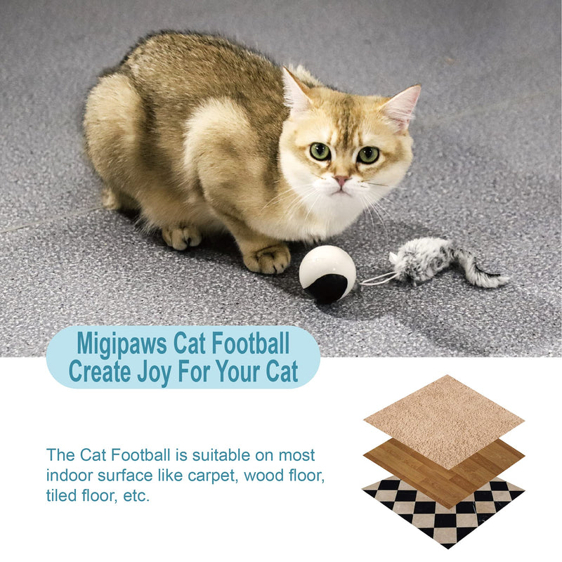 Migipaws Cat Toys, Automatic Moving Ball Bundle Classic Mice + Feather Kitten Toys in Pack. DIY N in 1 Pets Smart Electric Teaser, USB Rechargeable (White) white - BeesActive Australia