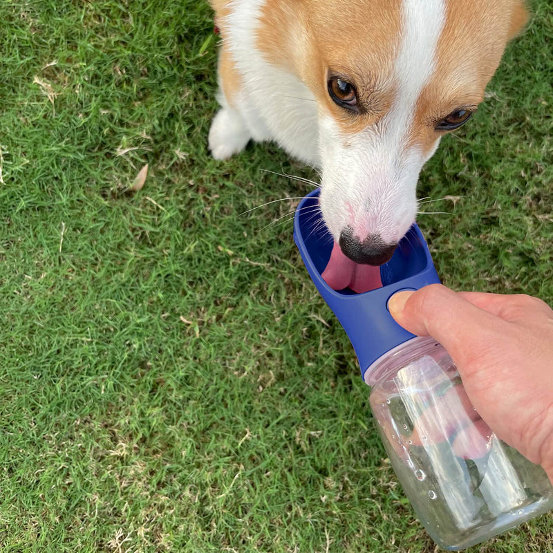 WePet Portable Dog Water Bottle with Food Container, 12 OZ, 19 OZ, Leak Proof Puppy Water Dispenser with Drinking Feeder for Pets Outdoor Walking, Hiking, Travel, Food Grade Plastic #01 Navy Blue - BeesActive Australia