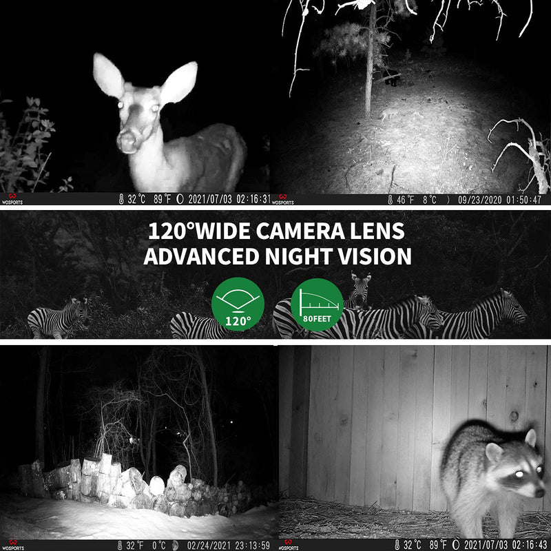 Trail Camera,30MP 1920P FHD 0.2S Trigger Motion Activated,Game Hunting Camera with Night Vision IP66 Waterproof 2.0''LCD 120°Wide Camera Lens for Outdoor Scouting Wildlife Monitoring Home Security Light Green - BeesActive Australia