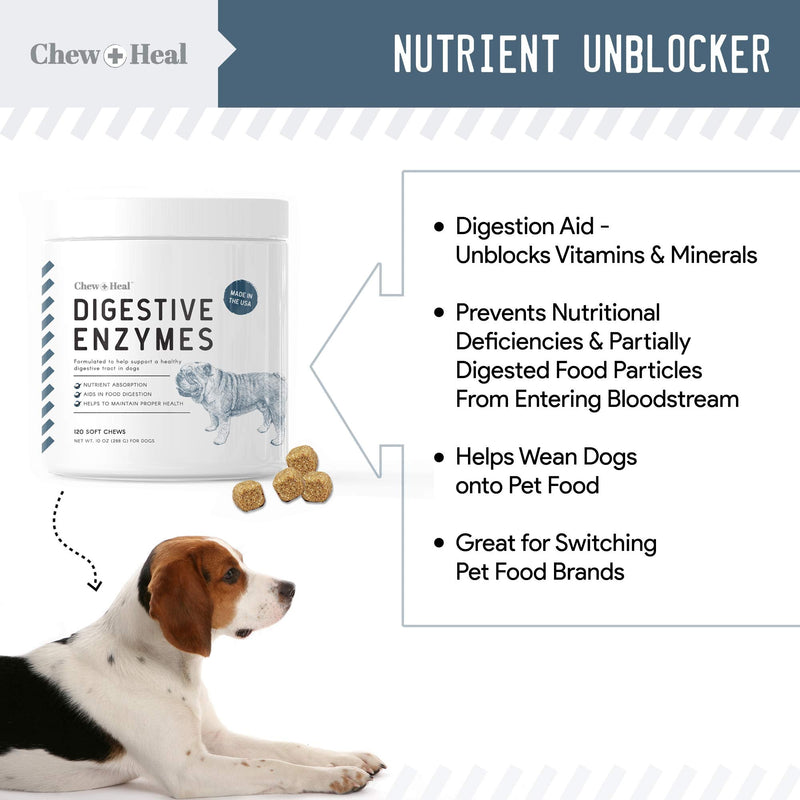 Chew + Heal Digestive Enzymes with Probiotics for Dogs - 120 Soft Chew Treats - Supports Healthy Digestive Tract, Helps Nutrient Absorption, Food Digestion, and Health Maintenance - Made in The USA - BeesActive Australia