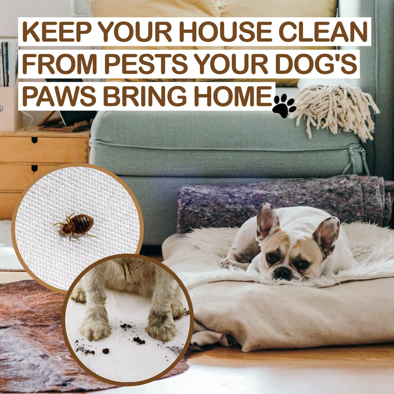 Kelebs Dog Natural Organic White Clay Powder Paw Cleaner, Tea Tree Oil Enzymes Odor Eliminator Deodorant, Prevent Paw Licking After Balm Use, Daily Remedies, Itchy Relief Allergies, Zero Plastic Vegan - BeesActive Australia