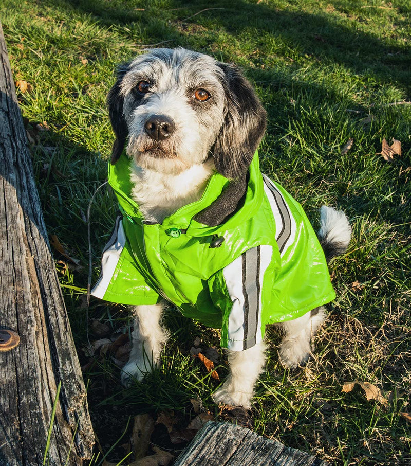 Pet Life ® Reflecta-Glow Reflective Waterproof Adjustable PVC Pet Raincoat Green Medium - BeesActive Australia