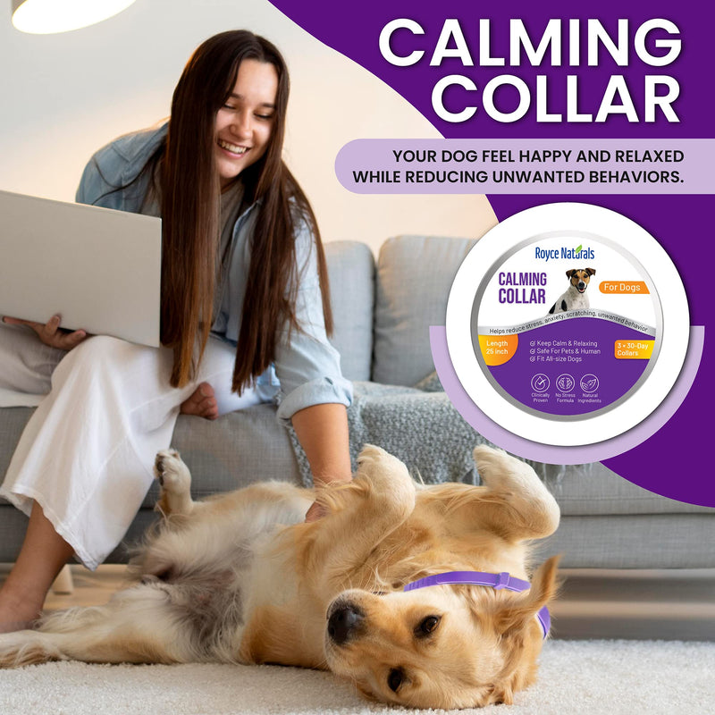 3 Pack Calming Collar for Dogs, Dog Anxiety Relief, Pheromone Dog Calming Collars, Breakaway Dog Collar, Dog Calm Collar, Separation Anxiety Relief for Dogs, Reduce Dog's Anxiety and Stress - BeesActive Australia