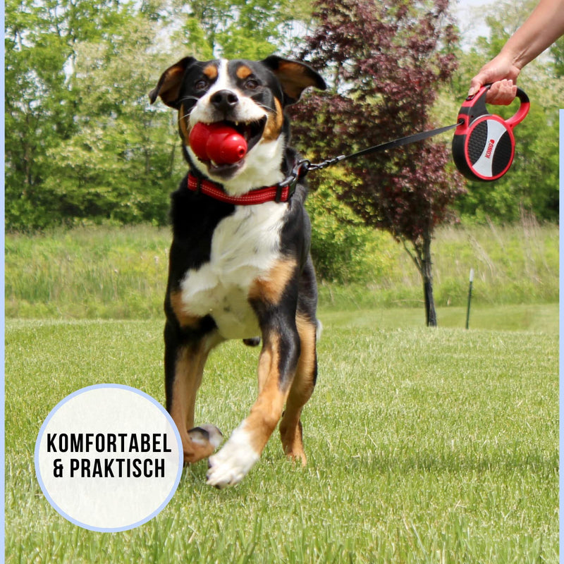 Alcott KONG Retractable Explore Dog Leash, 24 ft. Large Grey - BeesActive Australia