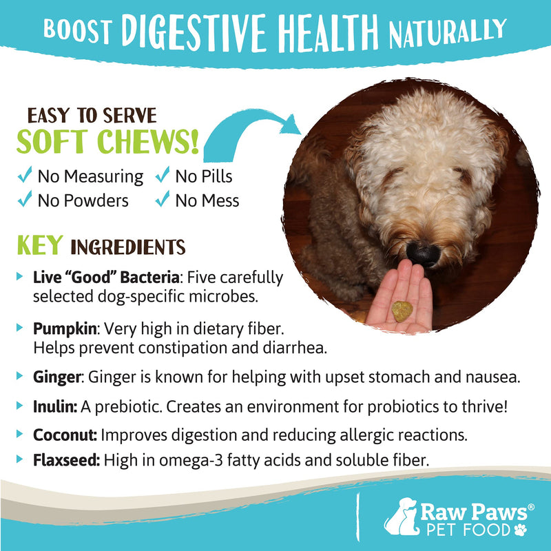 Raw Paws Natural Dog Supplement Soft Chew Treats, Made in The USA - 3 Unique Formulas for Overall Health - Omega 3 Skin & Coat, Hip & Joint and Prebiotics & Protiotics for Dogs Prebiotics & Probiotics 10 oz - BeesActive Australia