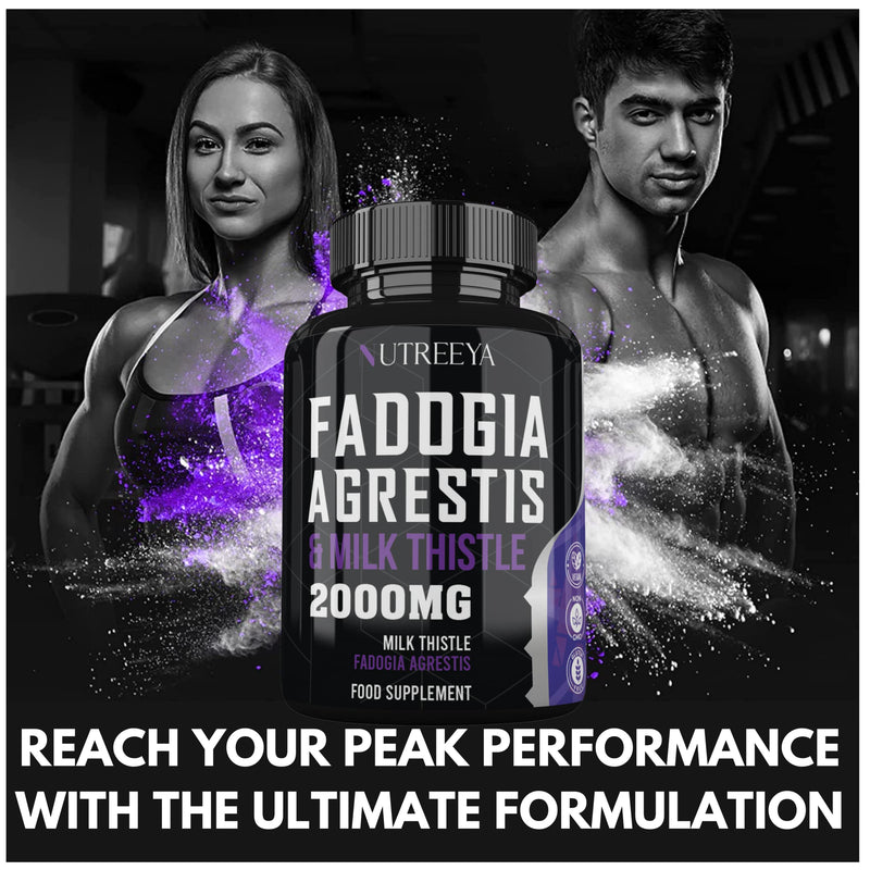 Fadogia Agrestis 2000mg 90 Vegan Tablets High Strength Fadogia Agrestis Extract Supplements - Athletic Performance & Muscle - Gluten Free, Non-GMO(Not Fadogia agrestis Capsule) (90 (Pack of 1) 90 (pack of 1) - BeesActive Australia