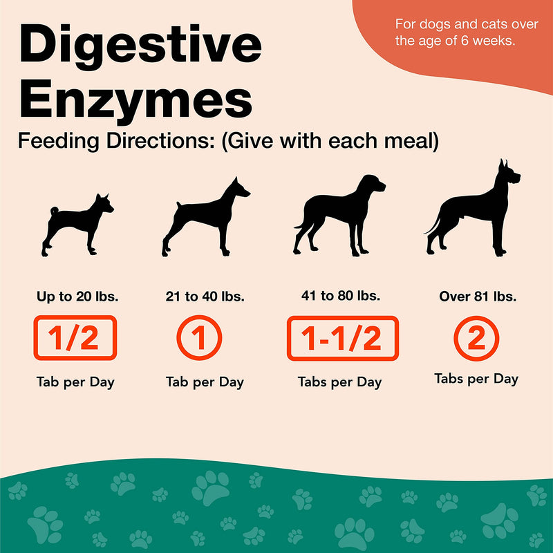 NaturVet Digestive Enzymes Plus Probiotics Supplement for Dogs, Soft Chews, Made in the USA, 90 Count - BeesActive Australia