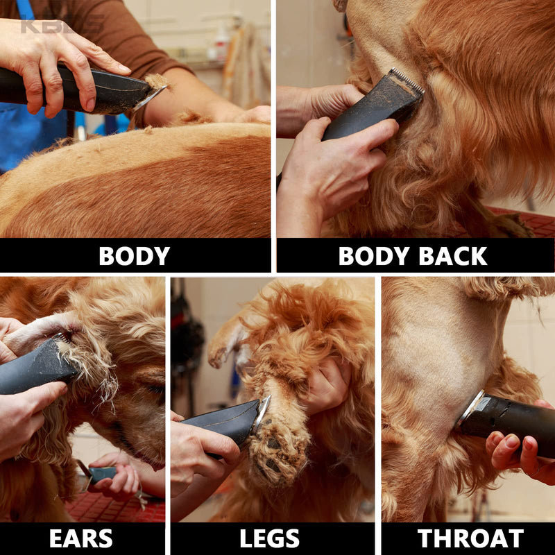 KBDS Detachable Ceramic Pet Clipper Blades,Size-7F,Compatible with Most Andis,Oster,Wahl A5 Clippers,Made of Ceramic Blade Cutter and Carbon Steel Blade,1/8'' Inch 3.2mm Cut Length, 7F Blade - BeesActive Australia