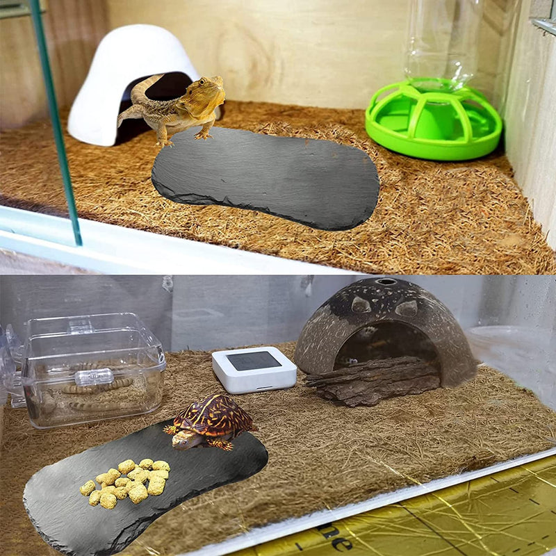Tfwadmx Reptile Basking Platform,Tortoise Rock Plate Feeding Food Bowl Dish Feeding Slate Turtle Bathing Resting Platform for Lizard Gecko Bearded Dragon Chameleon Snake Frog - BeesActive Australia