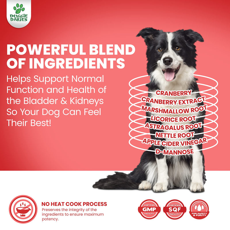 Doggie Dailies Cranberry Supplement for Dogs, 225 Soft Chews, Urinary Tract, Bladder & Kidney Support for Dogs, Cranberry for Dogs with Marshmallow Root, Licorice Root & Apple Cider Vinegar Bacon - BeesActive Australia