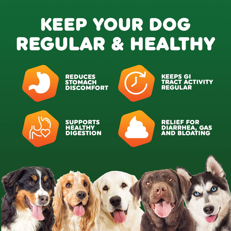 Primova Pet Products - Probiotic Dog Chews for Dog Digestive Enzymes - Dog Diarrhea & Natural Allergy Relief - Puppy Probiotic Chews - Dog Allergy Chews - Pack of 120 Chews - BeesActive Australia