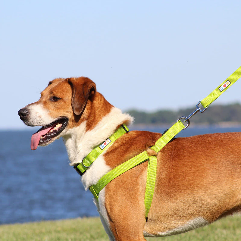 Pawtitas Pet Reflective Step in Dog Harness or Reflective Vest Harness Comfort Control Training Walking of Your Puppy Harness/Dog Harness Medium (Pack of 1) Teal - BeesActive Australia