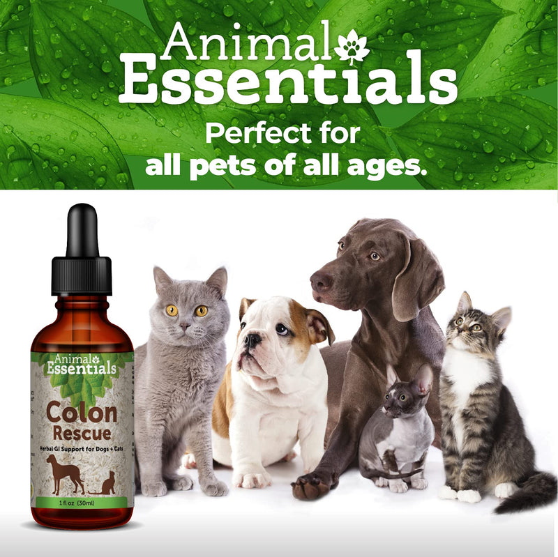 Animal Essentials Colon Rescue Herbal GI Support for Dogs & Cats, 1 fl oz - Made in USA Digestive Aid, Phytomucil Blend - BeesActive Australia