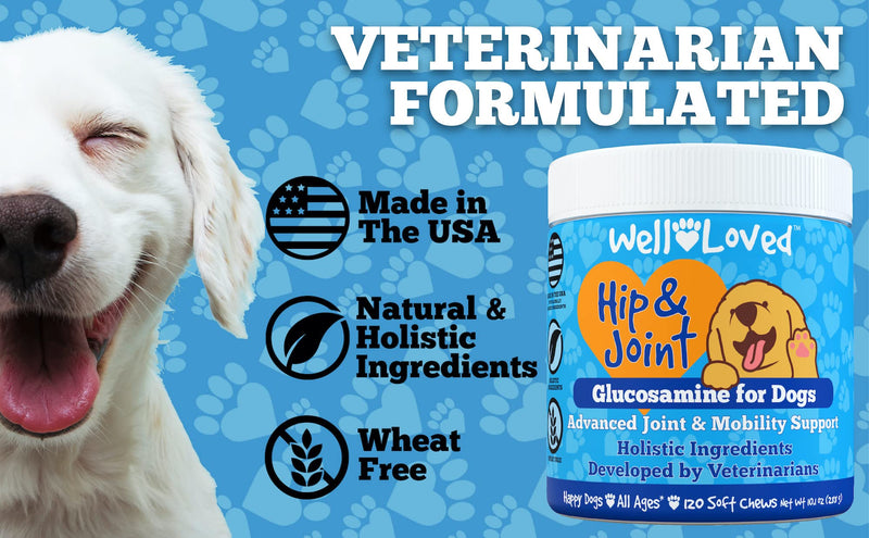 Well Loved Glucosamine for Dogs - Joint Supplement for Dogs, Made in USA, Vet Developed, Dog Joint Supplement, Glucosamine Chondroitin for Dogs, Advanced Hip and Joint Chews with MSM, Pain Relief, 120 - BeesActive Australia