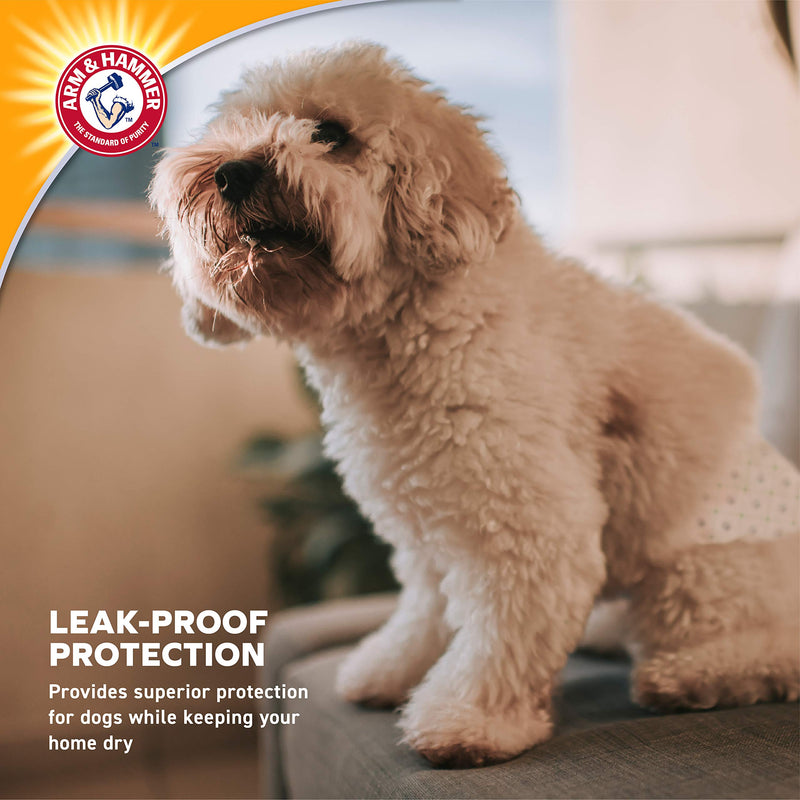 Arm & Hammer for Pets Dog Diapers, 12 Count-Ultra-Absorbent, Adjustable Dog Diapers with Leak-Proof Protection and Wetness Indicator-Male and Female Dog Wraps, Diapers for Pets from Arm and Hammer Male Small - 12 Count - BeesActive Australia