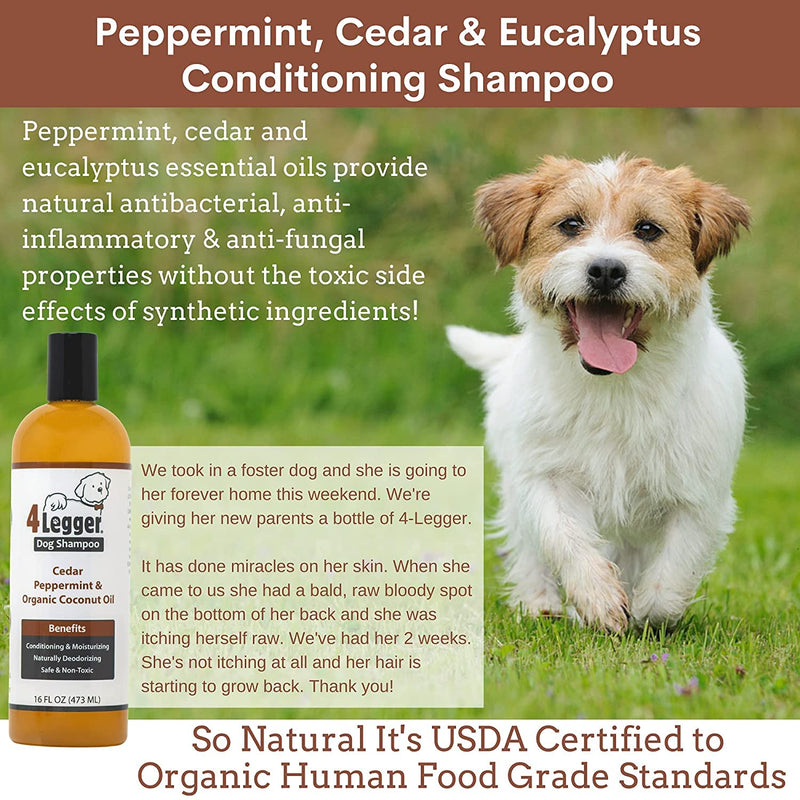 4Legger Organic Dog Shampoo and Conditioner USDA Certified - All Natural Concentrated Cedar Dog Shampoo with Peppermint, and Eucalyptus - Dog Shampoo for Itchy Skin - Dog Shampoo for Smelly Dogs 16 oz - BeesActive Australia
