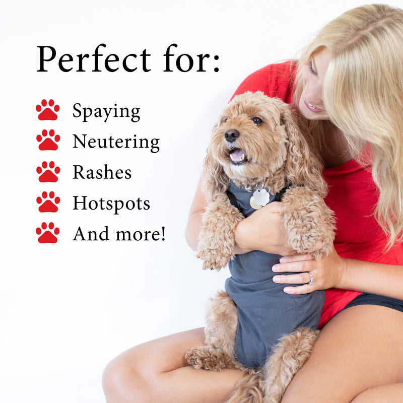 BellyGuard - After Surgery Dog Onesie, Recovery Suit for Dogs, Comfortable Substitute for Cone for Dogs After Surgery,Dog Recovery Suit with Stretch-Fit Cotton Material and Adjustable Rear Flap Medium Grey - BeesActive Australia