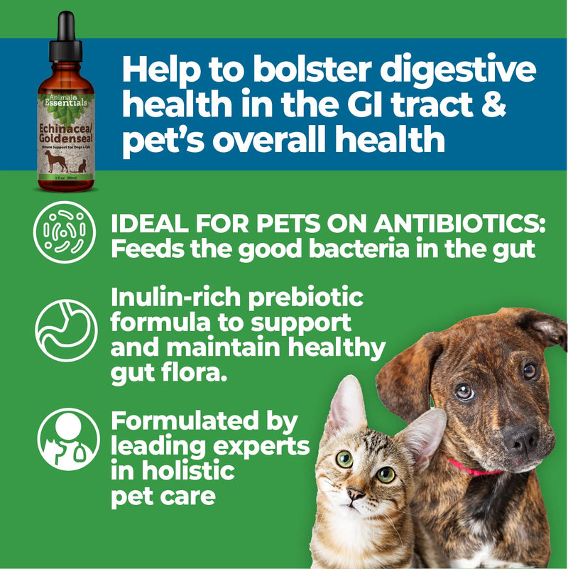 Animal Essentials Healthy Gut - BeesActive Australia