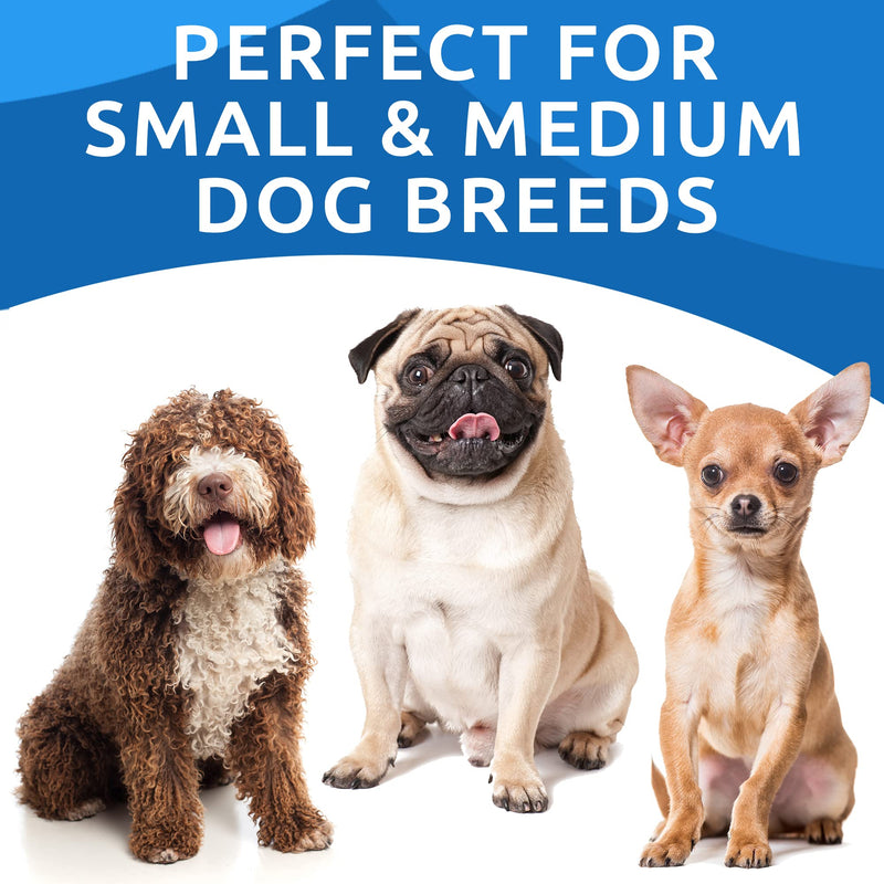 BARK&SPARK Salmon Oil for Dogs & Cats - Natural Fish Oil Omega-3 - Skin & Coat Support - Liquid Food Supplement for Pets - Natural EPA + DHA Fatty Acids for Joint Function, Immune & Heart Health 8oz - BeesActive Australia