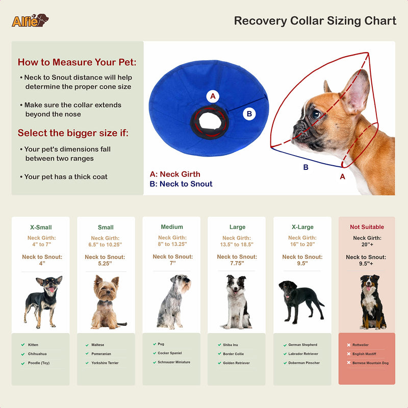 Alfie Pet - Cobalt Recovery Collar (for Dogs & Cats) - Color: Blue Large (Pack of 1) - BeesActive Australia