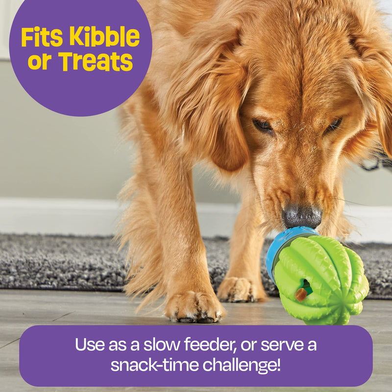 Brightkins Cactus Surprise Treat Dispenser - 1 Piece Mental Stimulation Toys for Dogs, Treat Dispenser for Dogs, Multicolor - BeesActive Australia