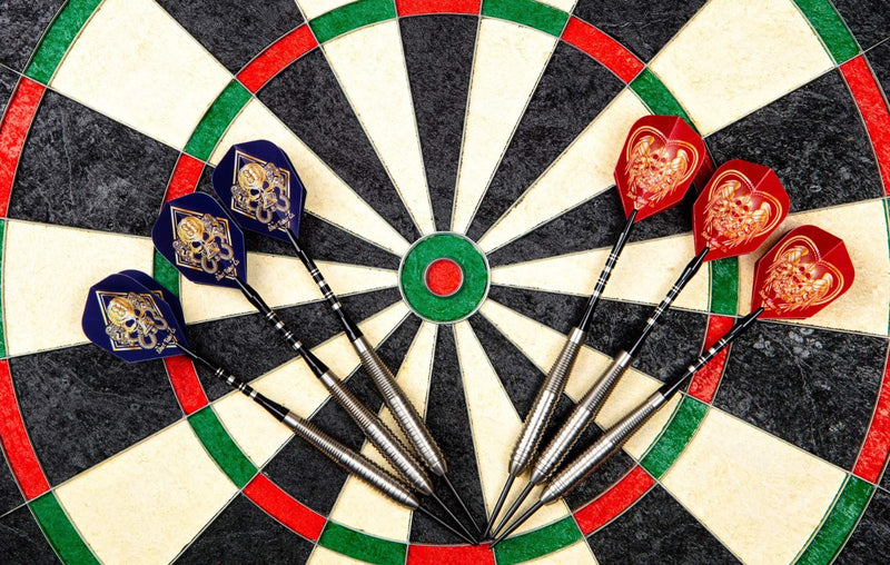 [AUSTRALIA] - SHOT TAKER CO. EST. 2017 Professional Stainless Steel Tip Darts Set | 6 Stainless Steel Barrels 22g | 6 Aluminum Shafts 48mm | 8 Flights Standard | 1 Darts Sharpener | 1 Stylish Case Red Skull 21g 