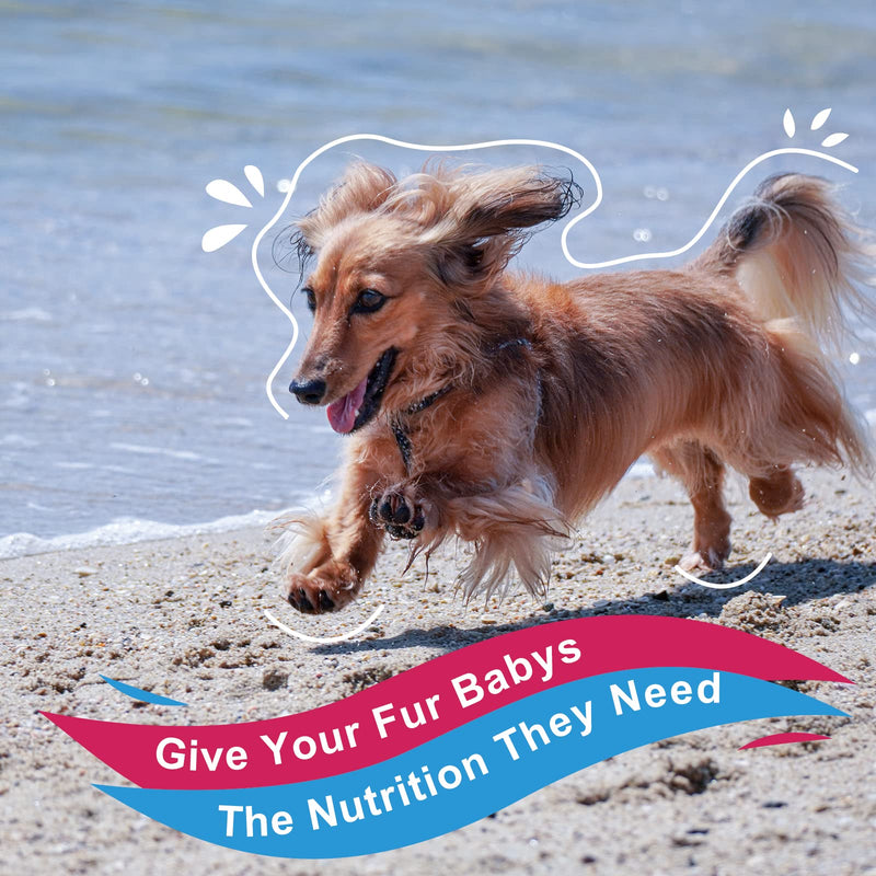 Dog Vitamins, Probiotics for Dogs Powder, Glucosamine & Chondroitin & MSM, with Prebiotics and Digestive Enzymes, Omega 3, Digestive & Gut Health, Joint & Immune & Heart Support, Dog Allergy Relief Chicken - BeesActive Australia
