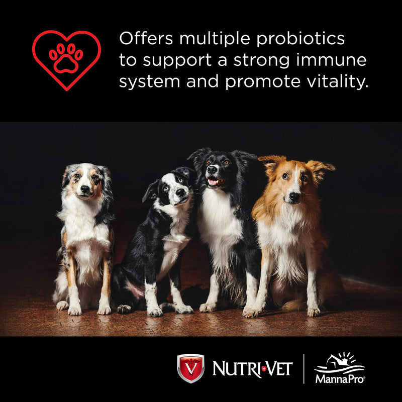 Nutri-Vet Probiotics Capsules for Dogs | Supports Digestive Health | For All Size Dogs | Promotes Healthy Immune System | Vet Formulated | 60 Count Capsules - BeesActive Australia