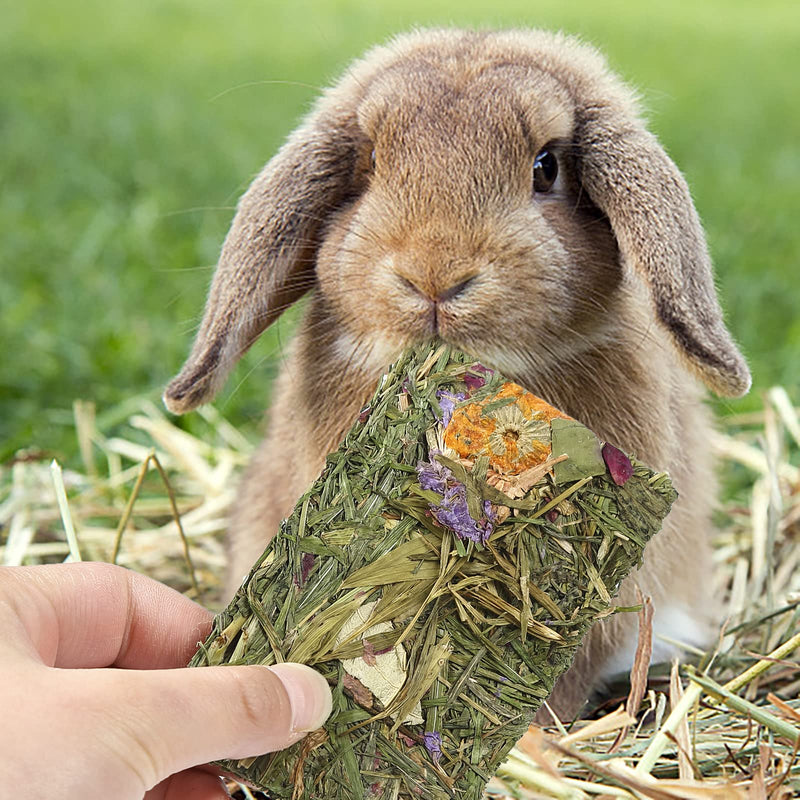 X-pet Rabbit Chew Toys, Chinchilla Treats for Dental Health, Natural Timothy Hay Chips Chew Treats,Small Animals Snacks for Rabbits, Hamsters, Bunny, Guinea Pig, Chinchillas - BeesActive Australia