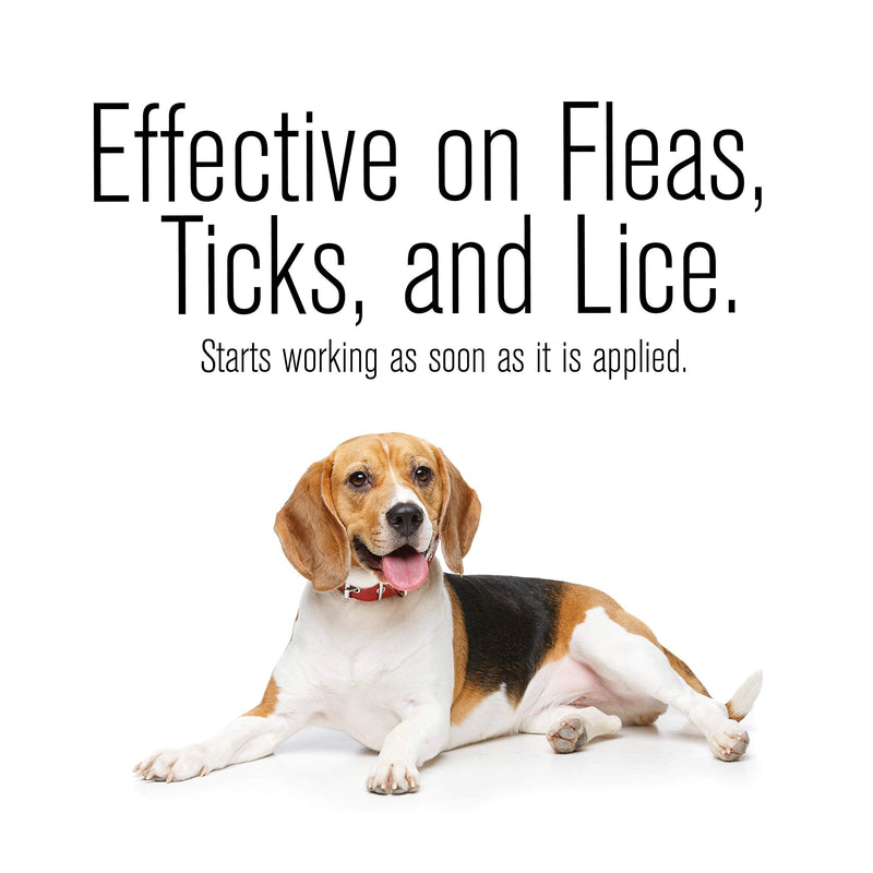 ZoGuard Plus Flea and Tick Prevention for Dogs, Medium 23-44 lbs, 3 Months, 3 Doses - BeesActive Australia