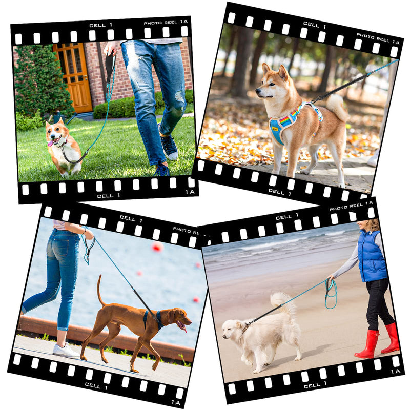 NTR Dog Long Leash, 15FT/30FT/50FT/100FT Reflective Leash with Swivel Lockable Hook and Comfortable Padded Handle, Bungee Dog Leash for Walking, Hunting, Camping, Backyard for Small Medium and Large Dog 15ft*1/3" Blue - BeesActive Australia