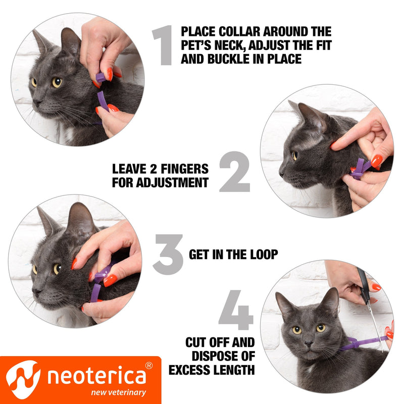 Cat Calming Collar & Pet Anti Anxiety Products - Feline Calm Pheromones Collars & Cats Stress Relief - Relaxivet Comfort Helps with Pee, New Zone, Aggression, Fighting with Dogs & Other Behavior 2 Count (Pack of 1) - BeesActive Australia