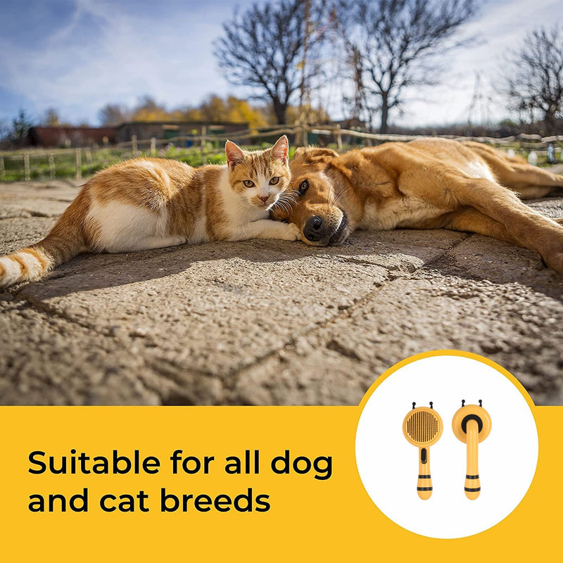 Beenefits 2022 Newest Design Self-Cleaning Slicker Brush for Dogs and Cats - The Ultimate Dog Brush for Shedding Hair, Fur, - Comb for Grooming Long Haired & Short Haired Dogs, Cats, Rabbits, & More - Deshedding Tool, Cat Brush - BeesActive Australia