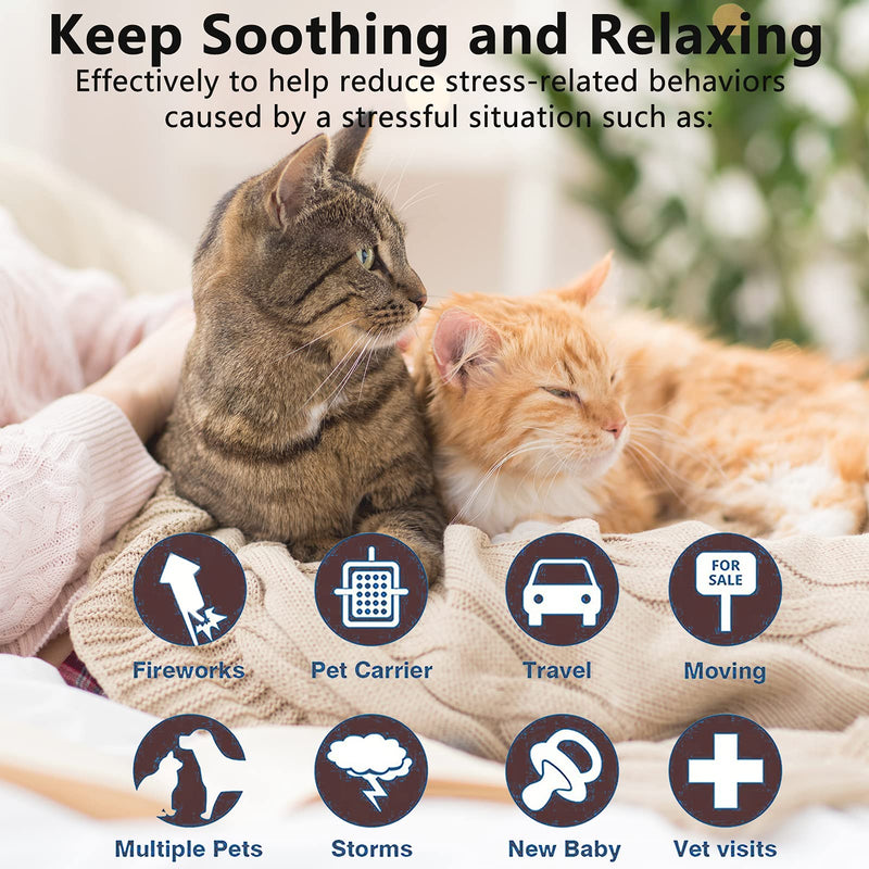 Wustentre 3 Pack Calming Collar for Cats, Cat Calming Collars, Natural Cat Pheromones Calming Collar, Adjustable Cat Anxiety Collar Reduce Anxiety Kitten Calm Collar for Cats Purple - BeesActive Australia