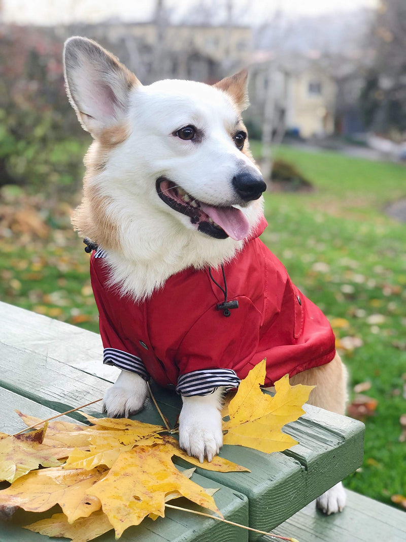 Ellie Dog Wear Red Zip Up Dog Raincoat with Reflective Buttons, Pockets, Water Resistant, Adjustable Drawstring, Removable Hoodie - Size XS to XXL Available - Stylish Premium Dog Raincoats Medium - BeesActive Australia