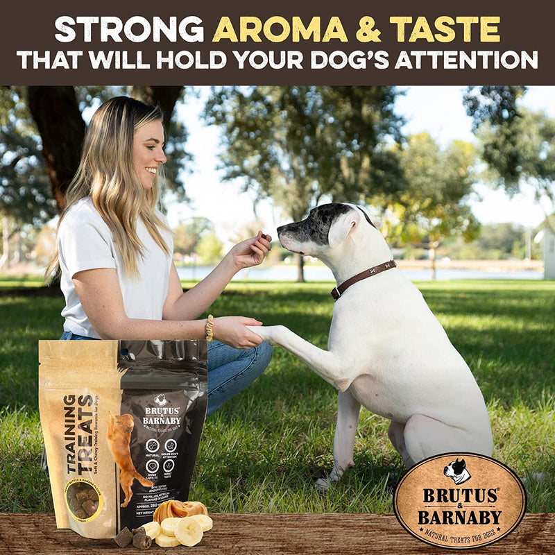 BRUTUS & BARNABY Training Treats for Dogs - Peanut Butter & Banana - All-Natural Healthy Low Calorie Vegan Treat - Great to Use for Rewards in Training Your Puppy Or Dog 1 Pound (Pack of 1) - BeesActive Australia