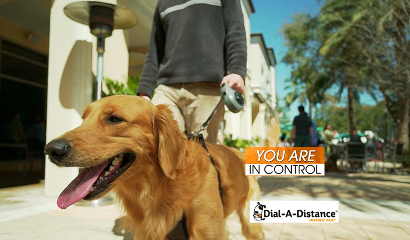 Dial A-Distance Retractable Dog Leash, Adjustable 0 to 15 Feet, Auto Brake and One Button Lock - BeesActive Australia
