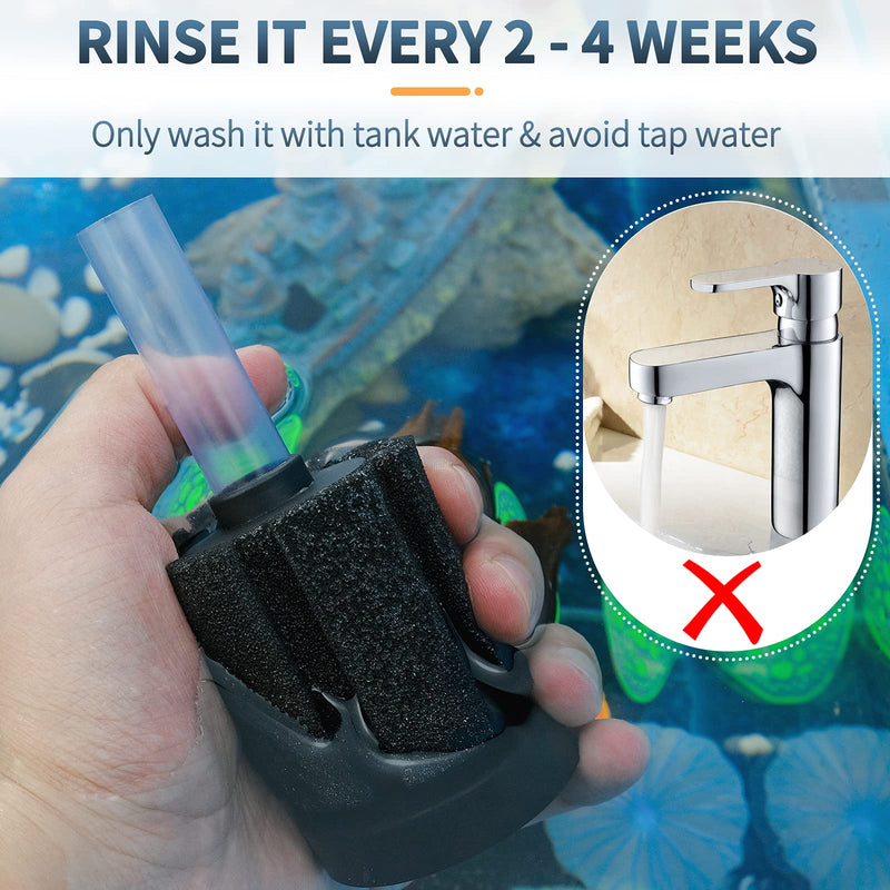 Pawfly Aquarium Nano Bio Sponge Filter Quiet Betta Fry Shrimp and Small Fish Foam Filter for Fish Tank up to 10-60 Gallon，3 Pack Up to 10Gal - BeesActive Australia