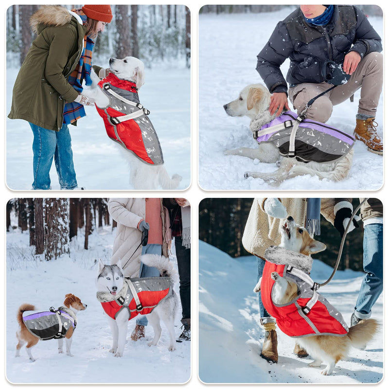 SlowTon Winter Dog Coat with Detachable Harness, Waterproof Fleece Lining Warm Dog Clothes for Small Medium Dogs, Reflective Adjustable Furry Jacket Outdoor Walking Puppy Vest Apparel (Red M) Medium (Chest 17.2"-20.2") Red&Grey - BeesActive Australia