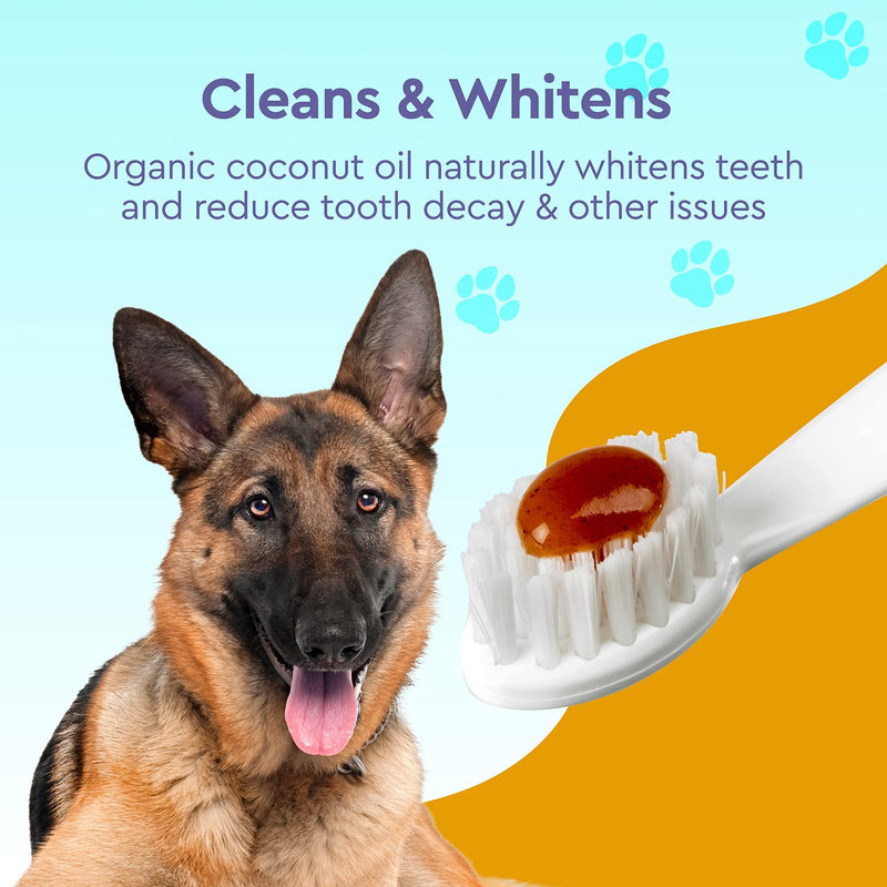 RADIUS USDA Organic Canine Pet Toothpaste 3 oz Non Toxic Toothpaste for Dogs Designed to Clean Teeth and Help Prevent Tartar Remove Plaque Xylitol Free - Pack of 1 3 Ounce (Pack of 1) - BeesActive Australia