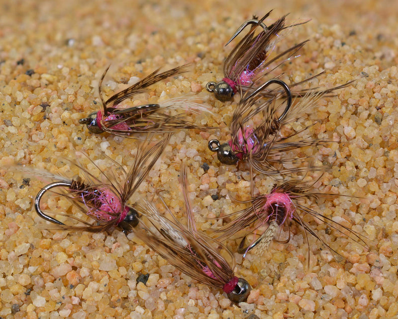 Tungsten Bead Frenchie Jig Fly - Euro Nymph Flies - Hanak Hooks 6ct Hook #14 - BeesActive Australia