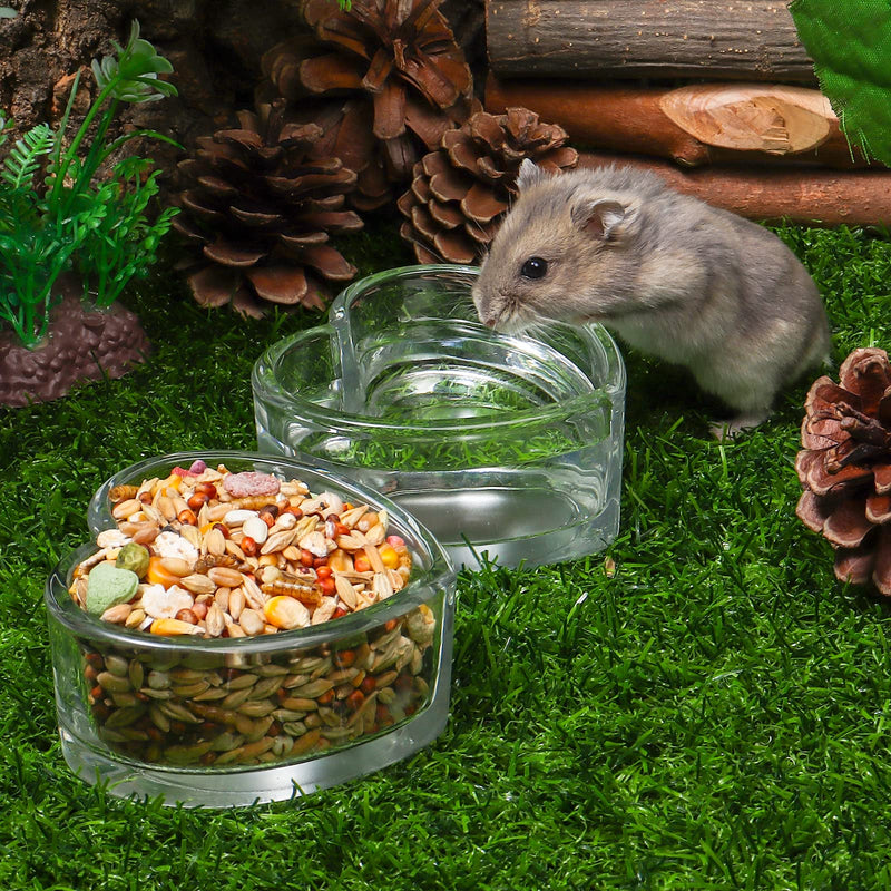 2 Pcs Hamster Food and Water Bowl, Cute Shape Grass Drinking and Eating Bowl, Transparent Food Bowl for Hamster, Guinea Pig, Dwarf Syrian Gerbils Mice Rats or Other Small Animals Love Style Medium - BeesActive Australia