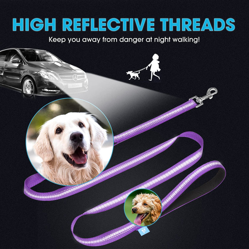 BAAPET 5 Feet Nylon Dog Leash with Triple Reflective Threads and Comfortable Padded Handle for Walking, Training Lead Small Puppy, Medium and Large Dogs Medium/Large (1.0'' x 5 FT) Purple - BeesActive Australia